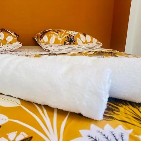Can Pi - T2 Cozy - Fac & Centre - Climatisation - Une Cour - Wifi Apartment